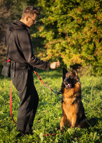 DŻAFAR
